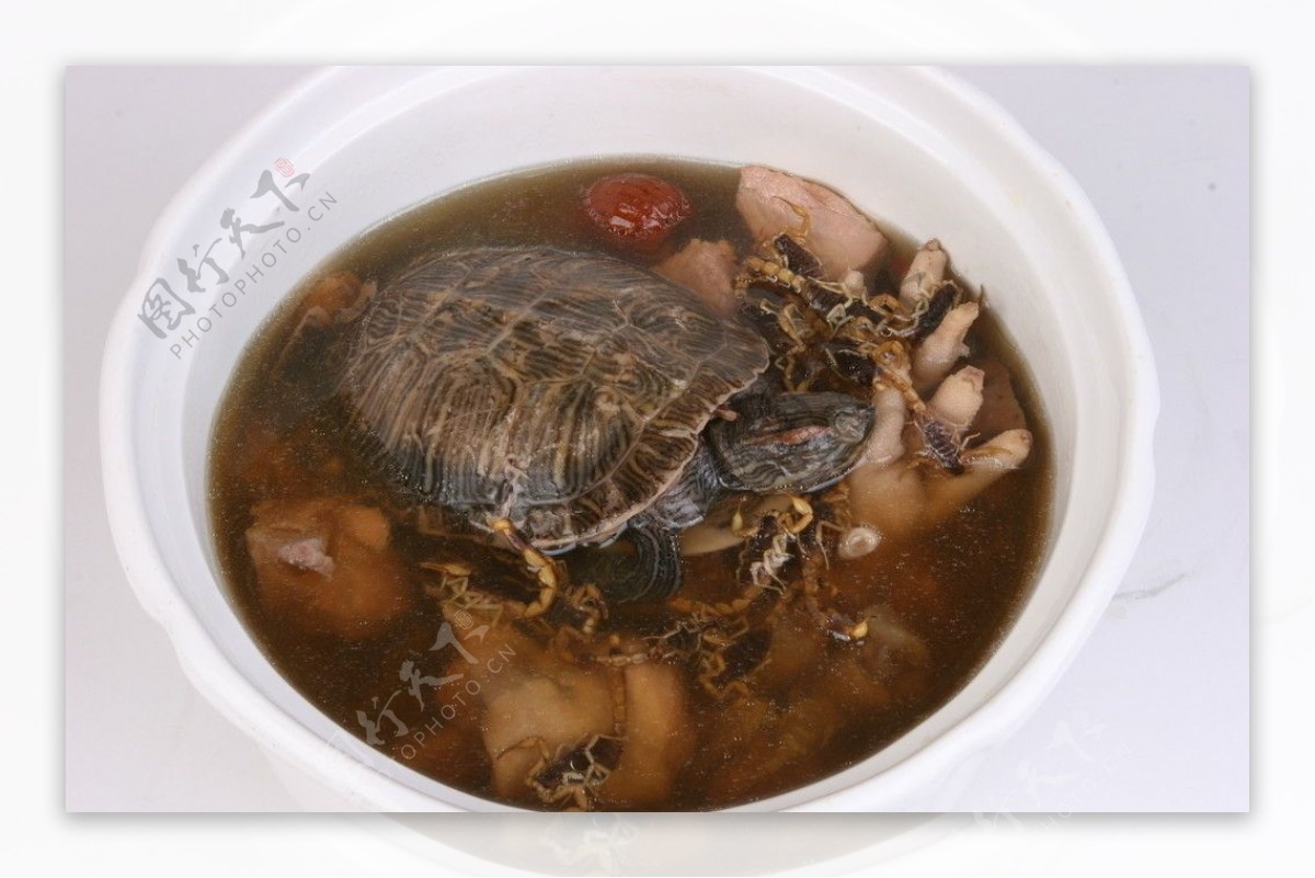 炖龟汤图片