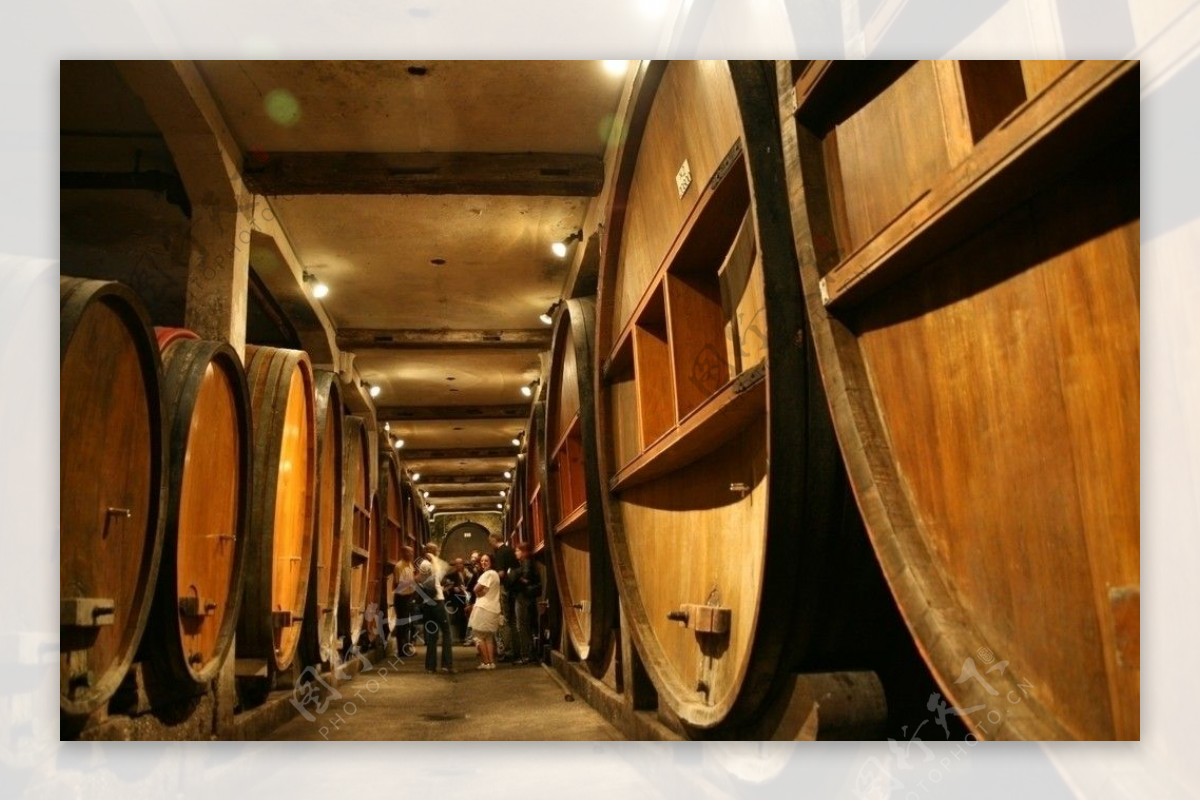 法国葡萄酒酿制酒厂大型橡木桶罐子图片