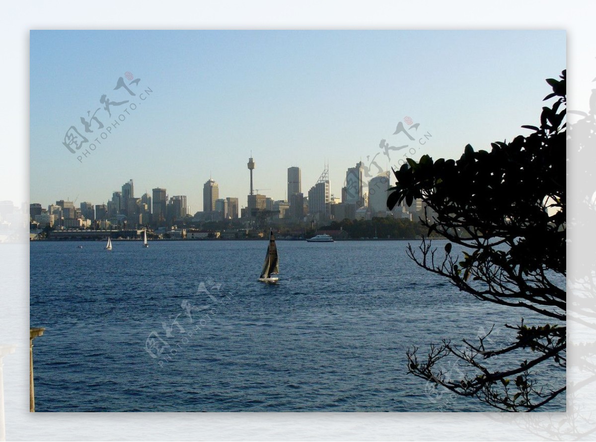 悉尼湾图片