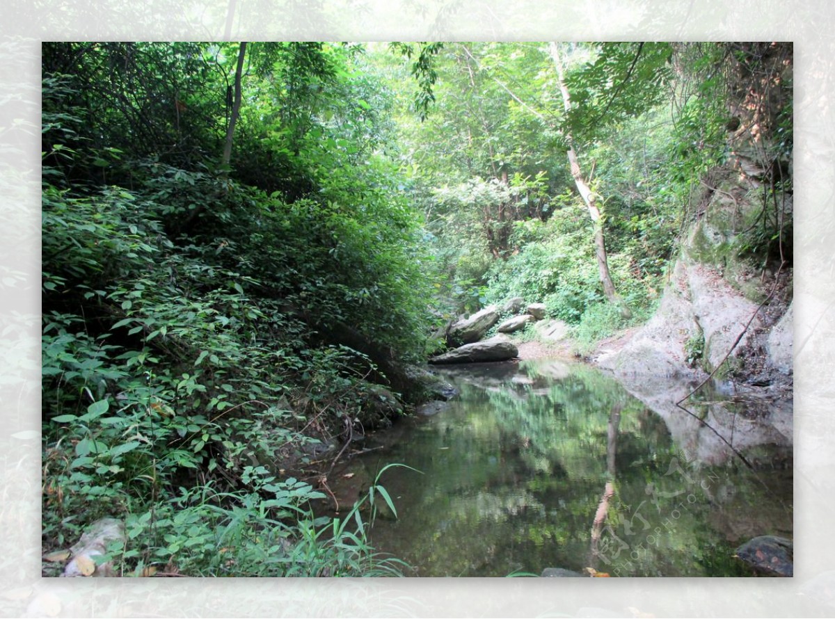 林间溪水图片