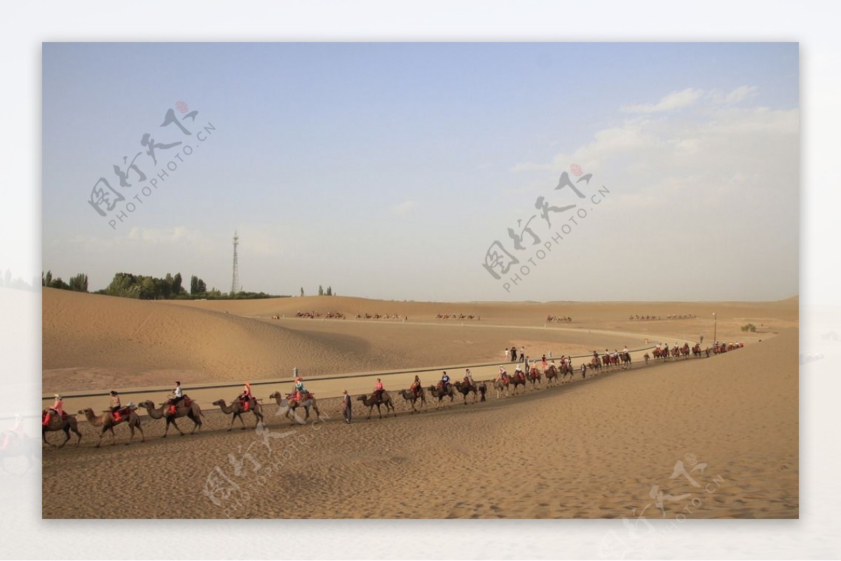 敦煌沙漠骆驼图片