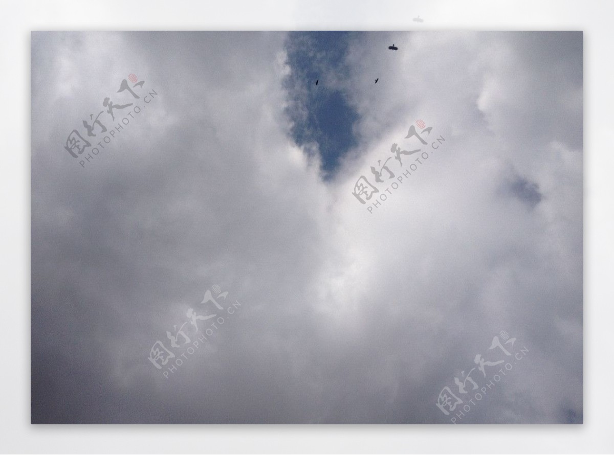 松赞林寺的云和鸦图片