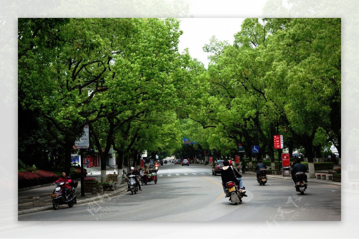 桂林的街道图片