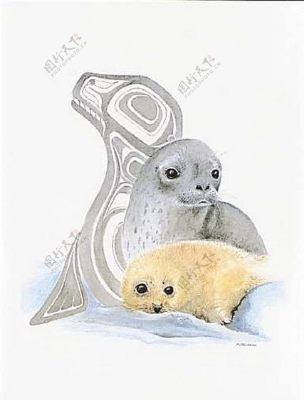 海狮母子十字绣xsd图片
