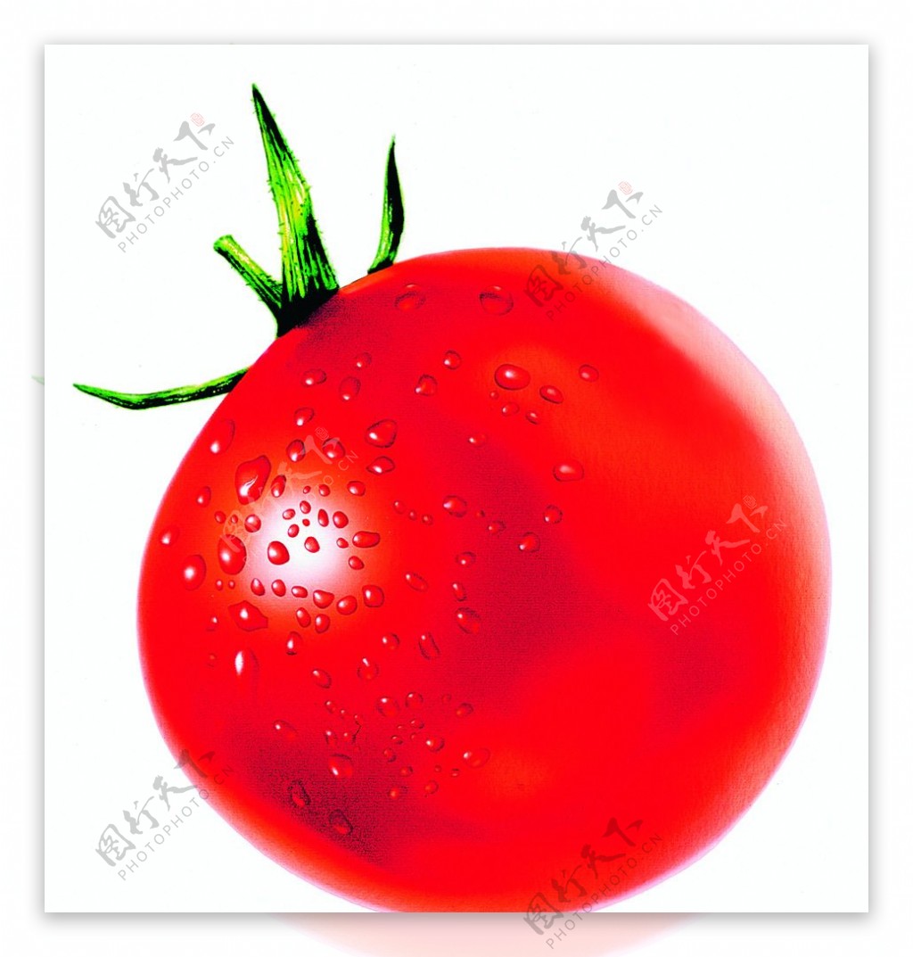 西红柿番茄蔬菜图片