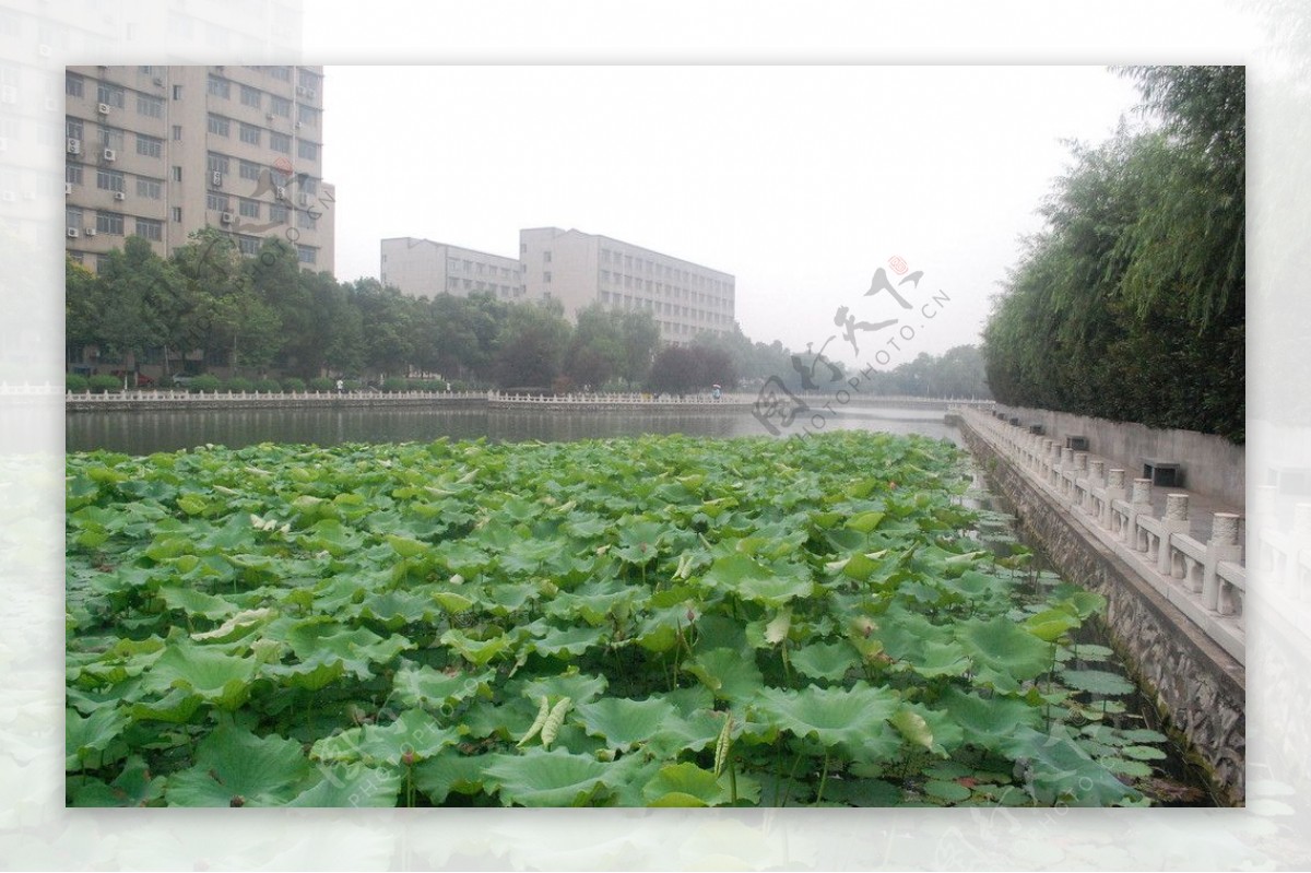 长江大学西校区图片