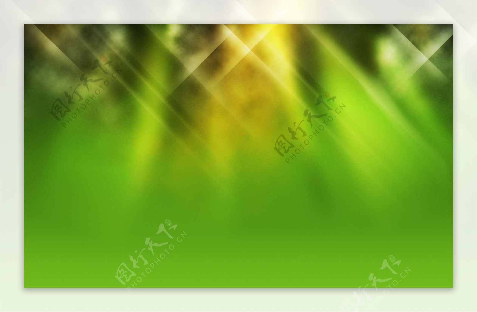 绿色星光闪烁抽象背景图片