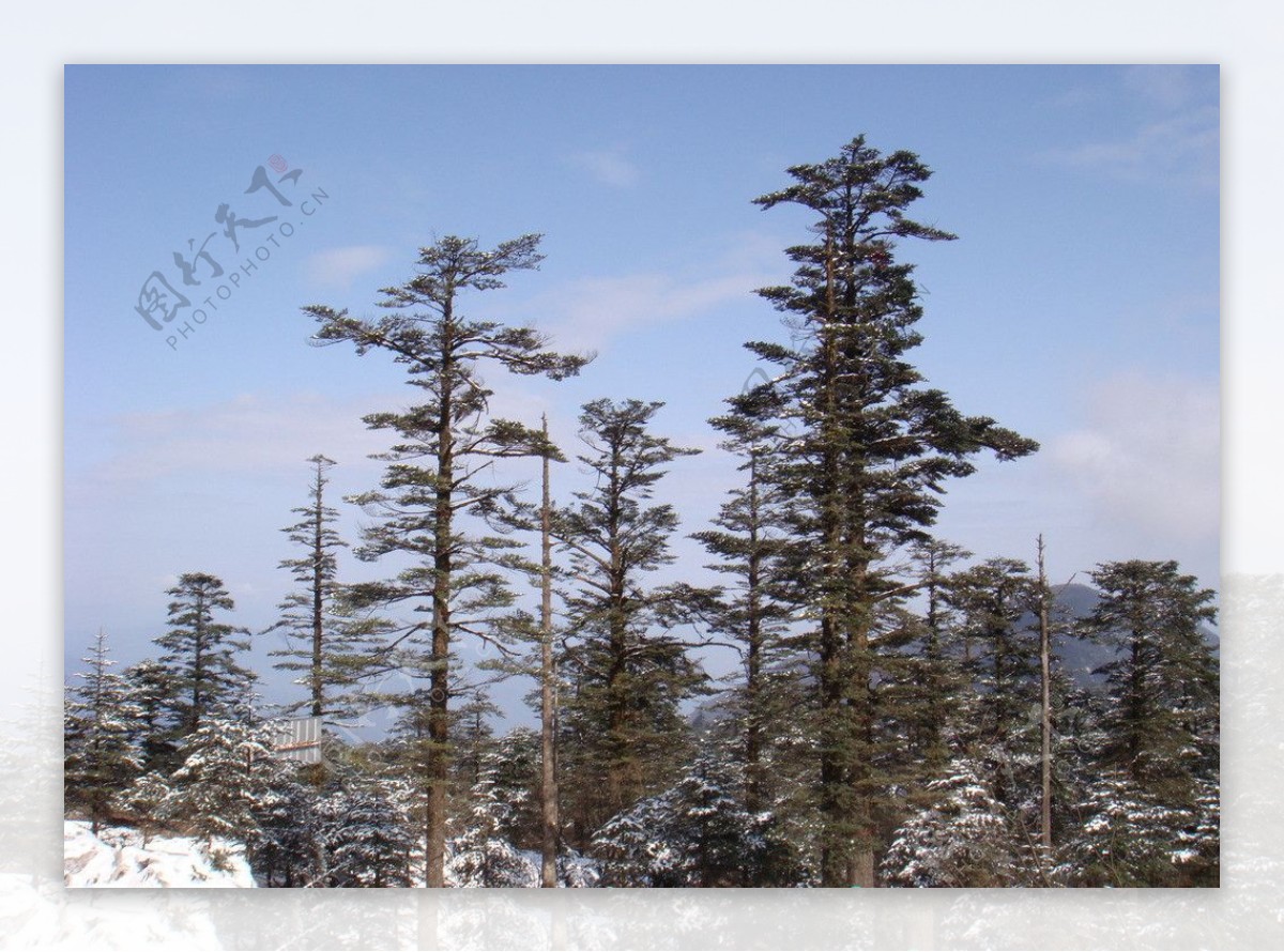 峨眉山雪景图片