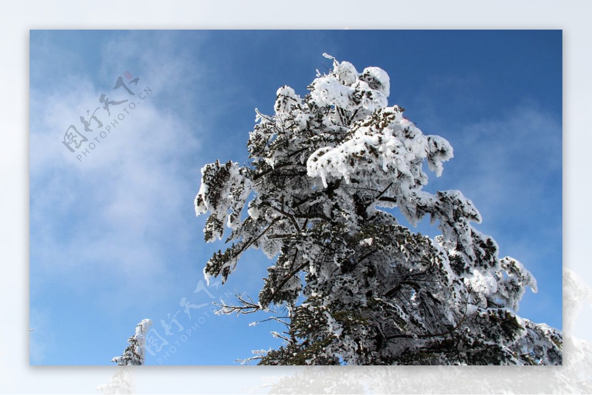 雪景峨眉山图片