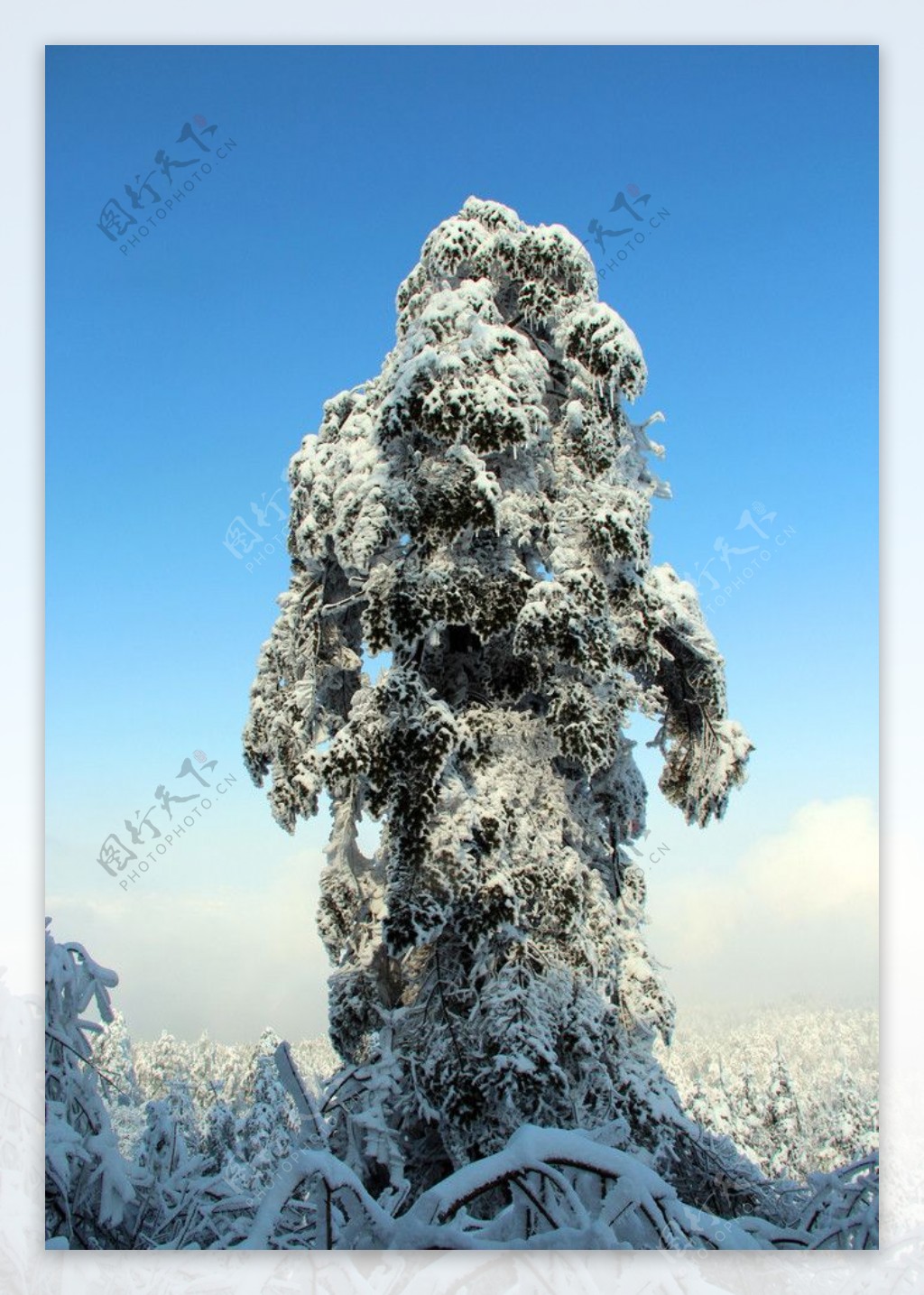 雪景图片