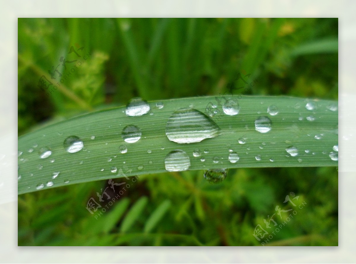 雨后图片