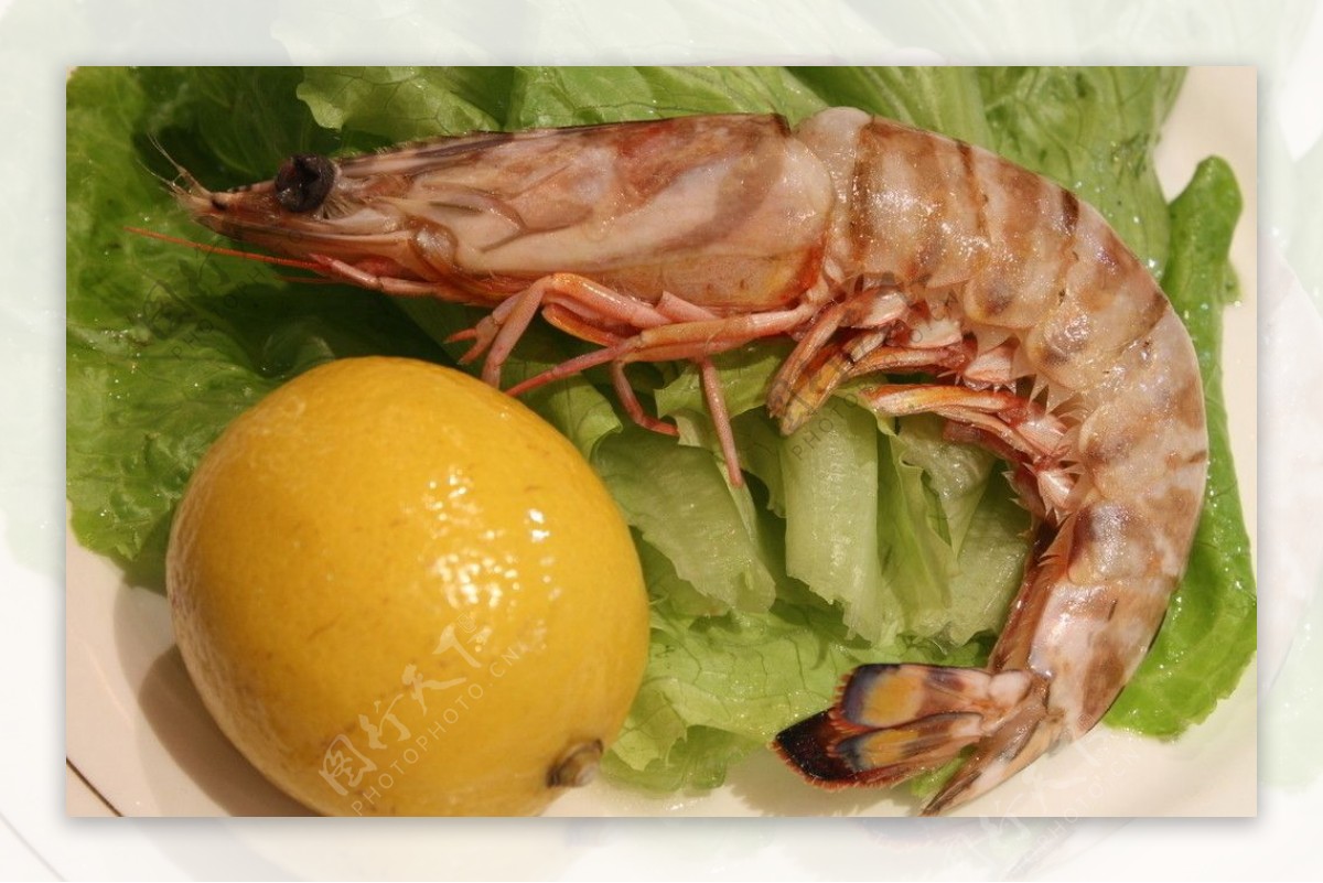 斑节虾的做法,斑节虾的经济价值,斑节虾的营养价值,斑节虾的形态特征_齐家网