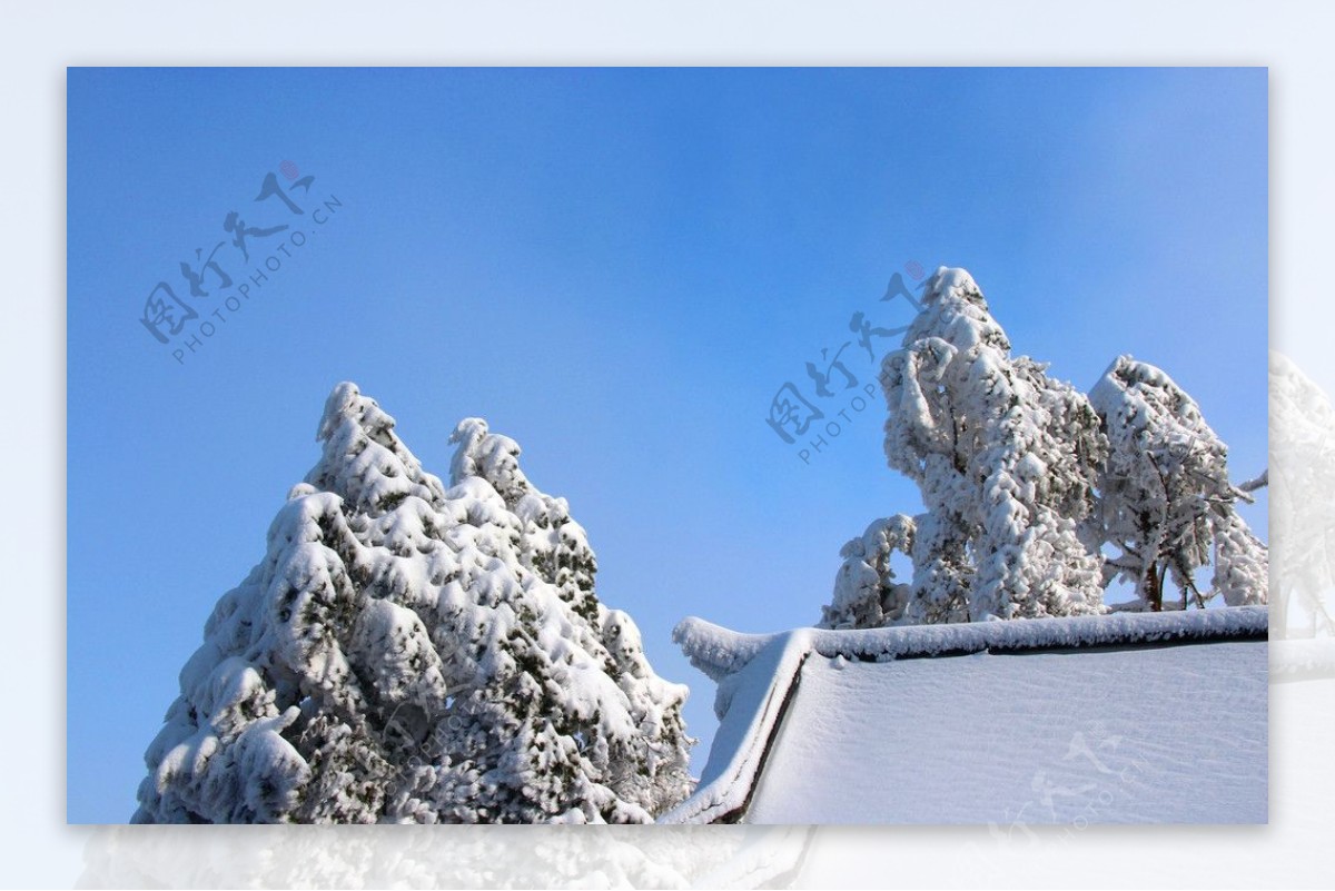 雪景图片