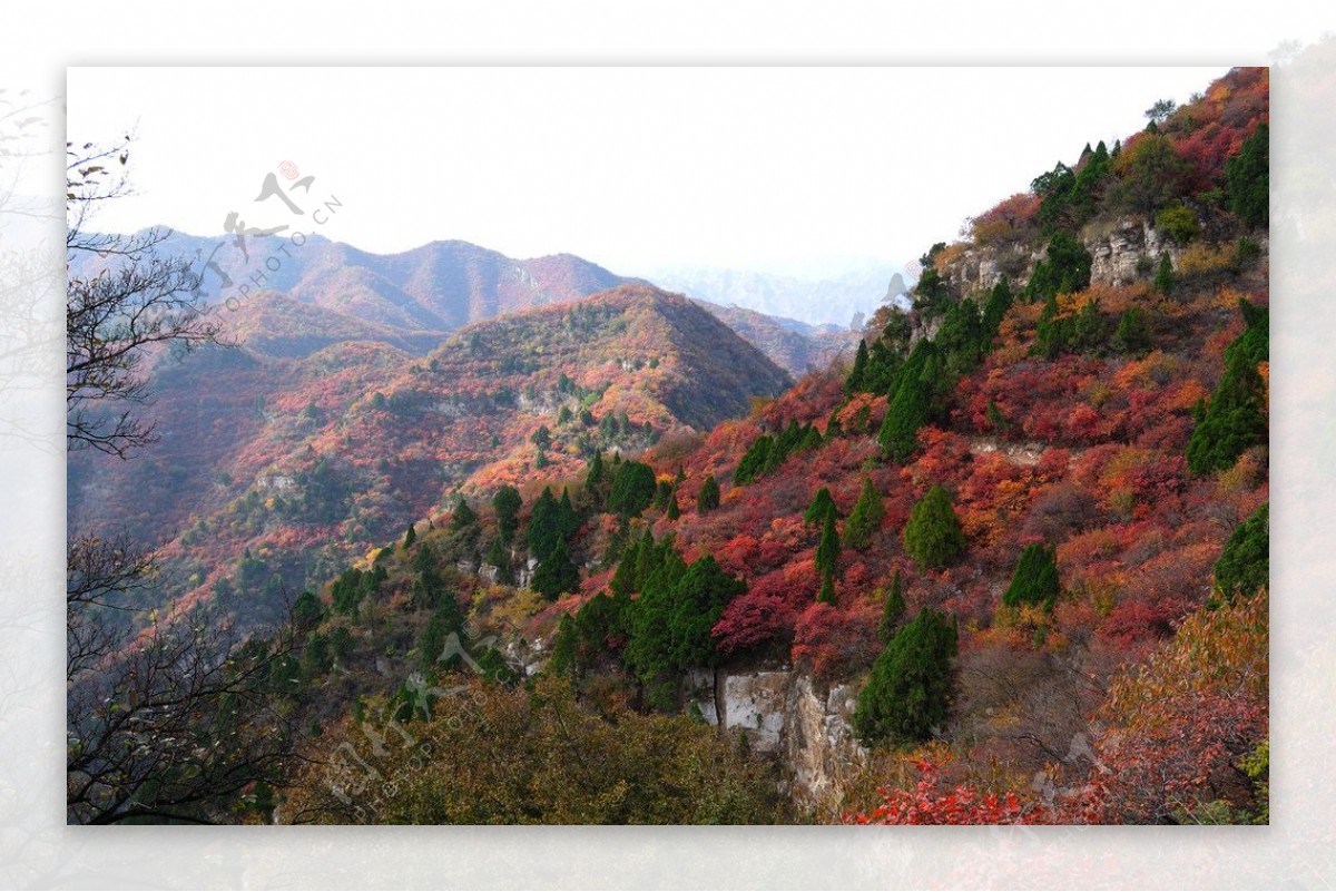 仙台山秋色满山图片