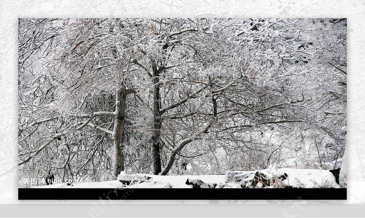 白雪皑皑图片