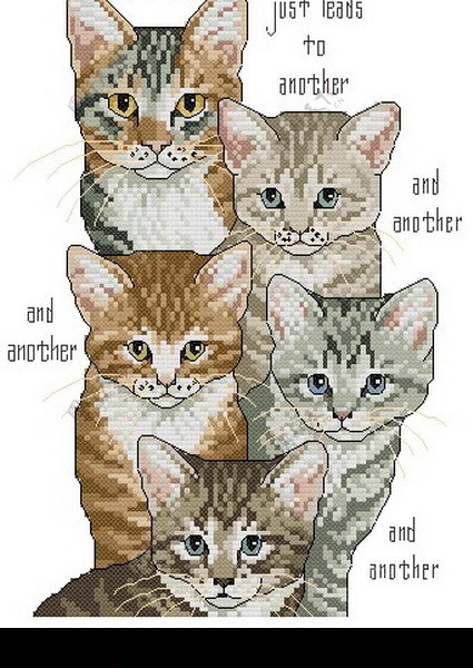 十字绣猫咪图纸图片