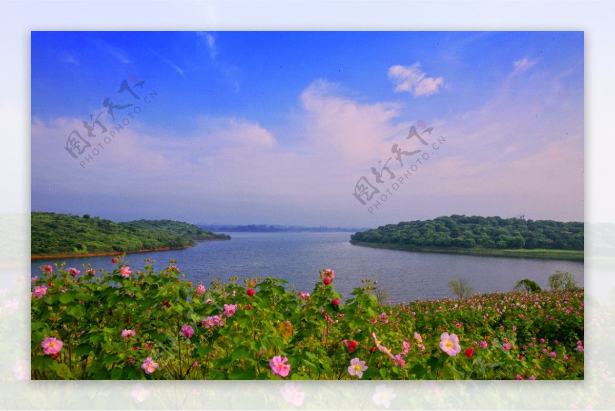 东莞松山湖景观图片