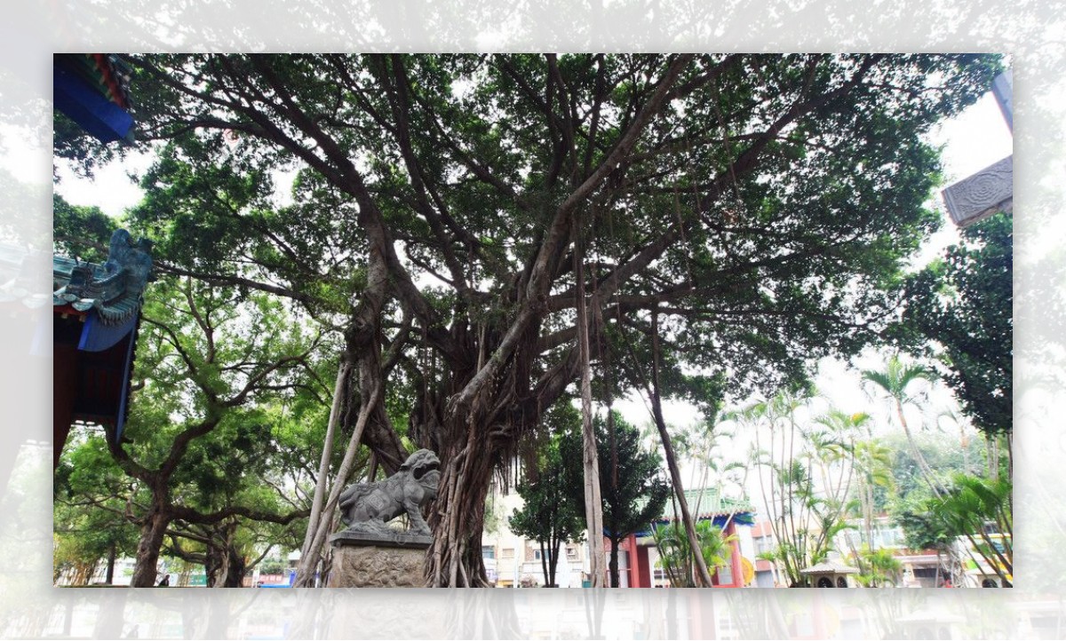 台湾宝岛风光台湾旅游胜地图片