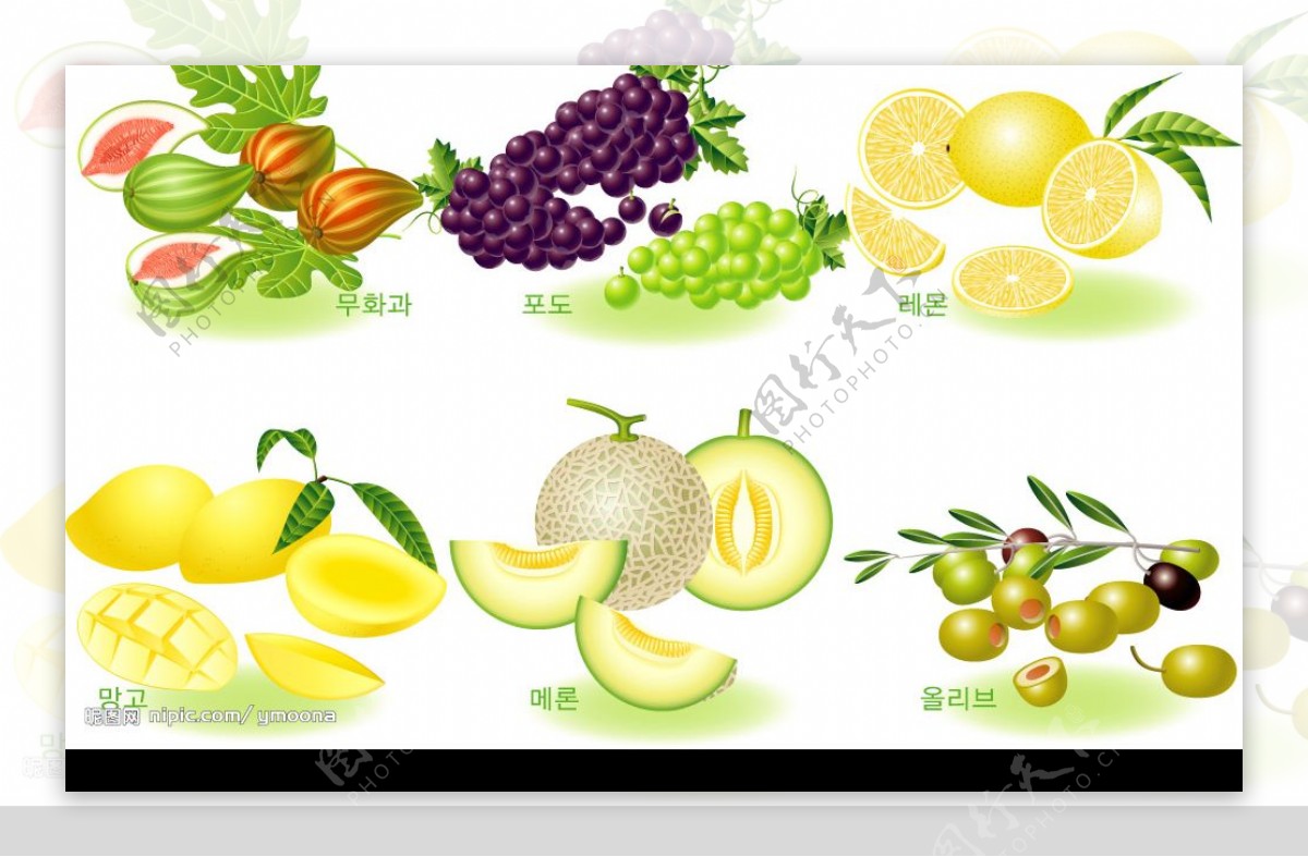 水果矢量图图片