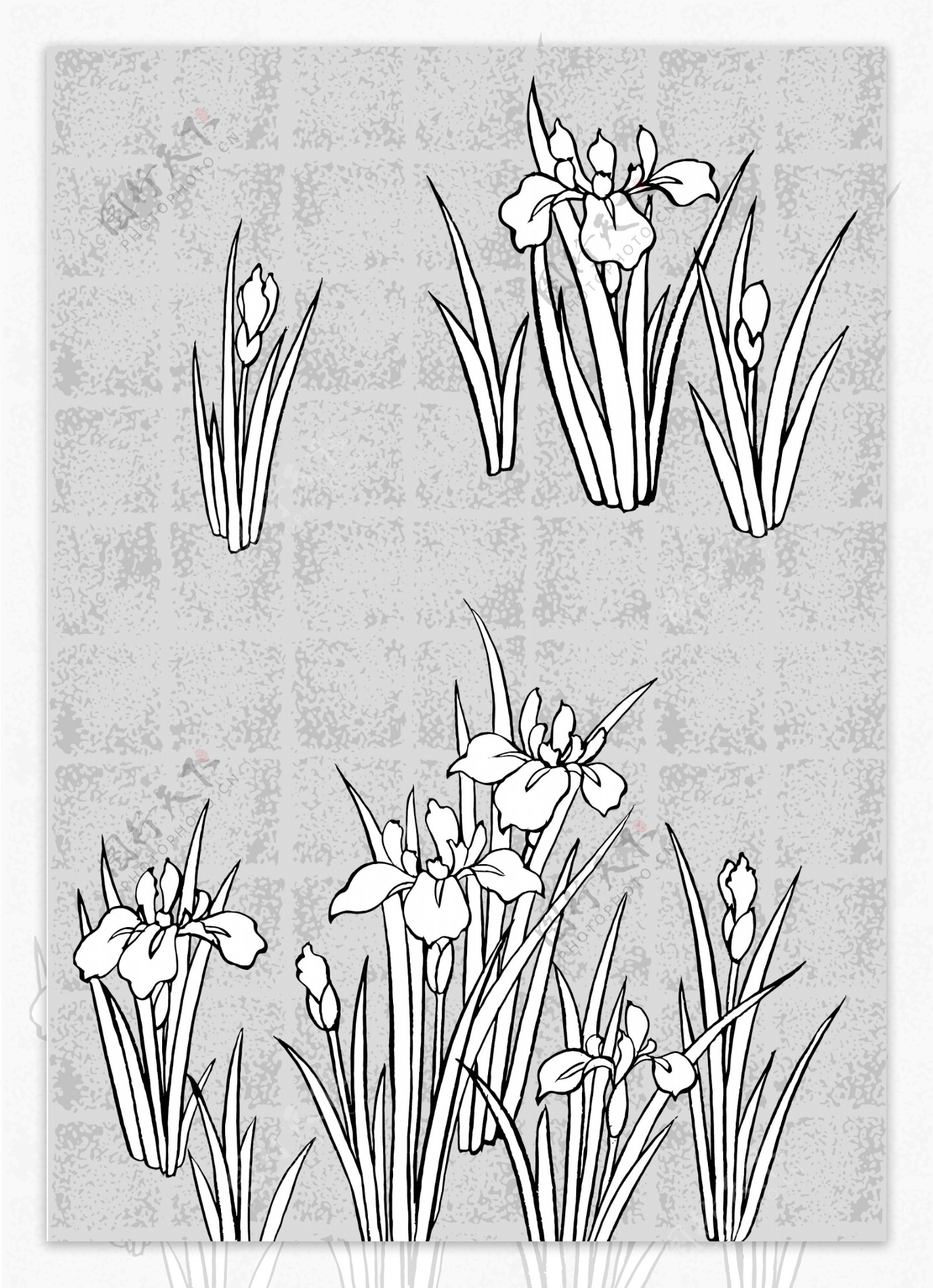 日本线描植物花卉矢量素材系列图片