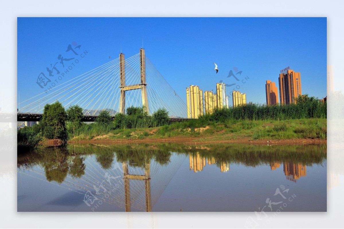 大桥河景图片