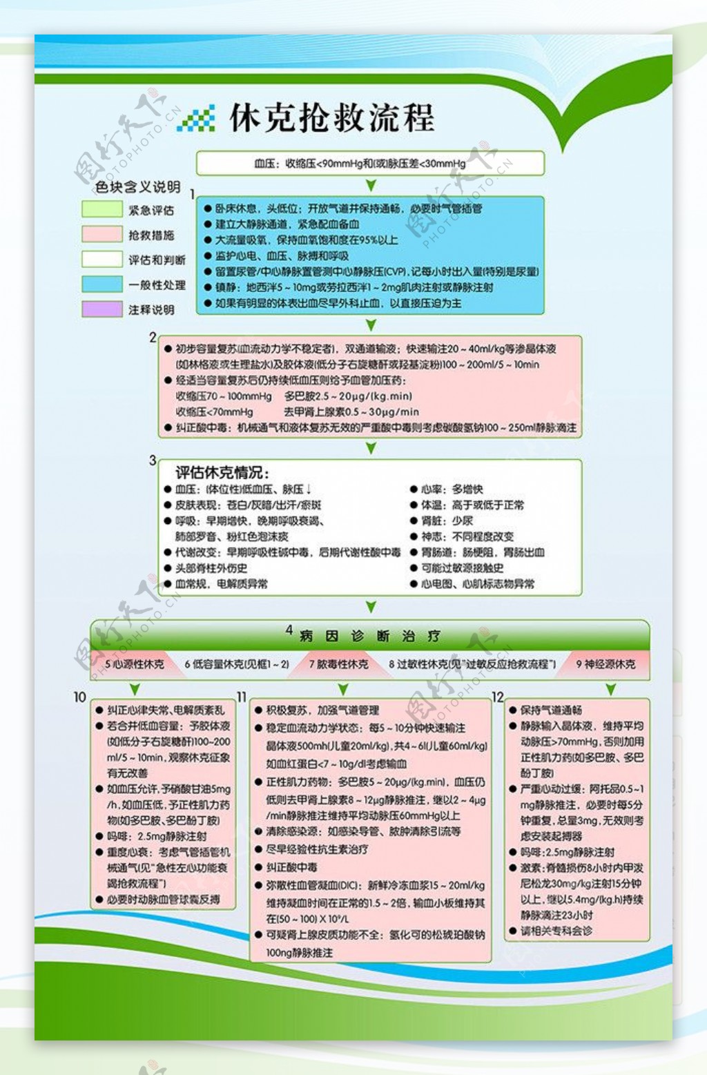 休克抢救流程图片