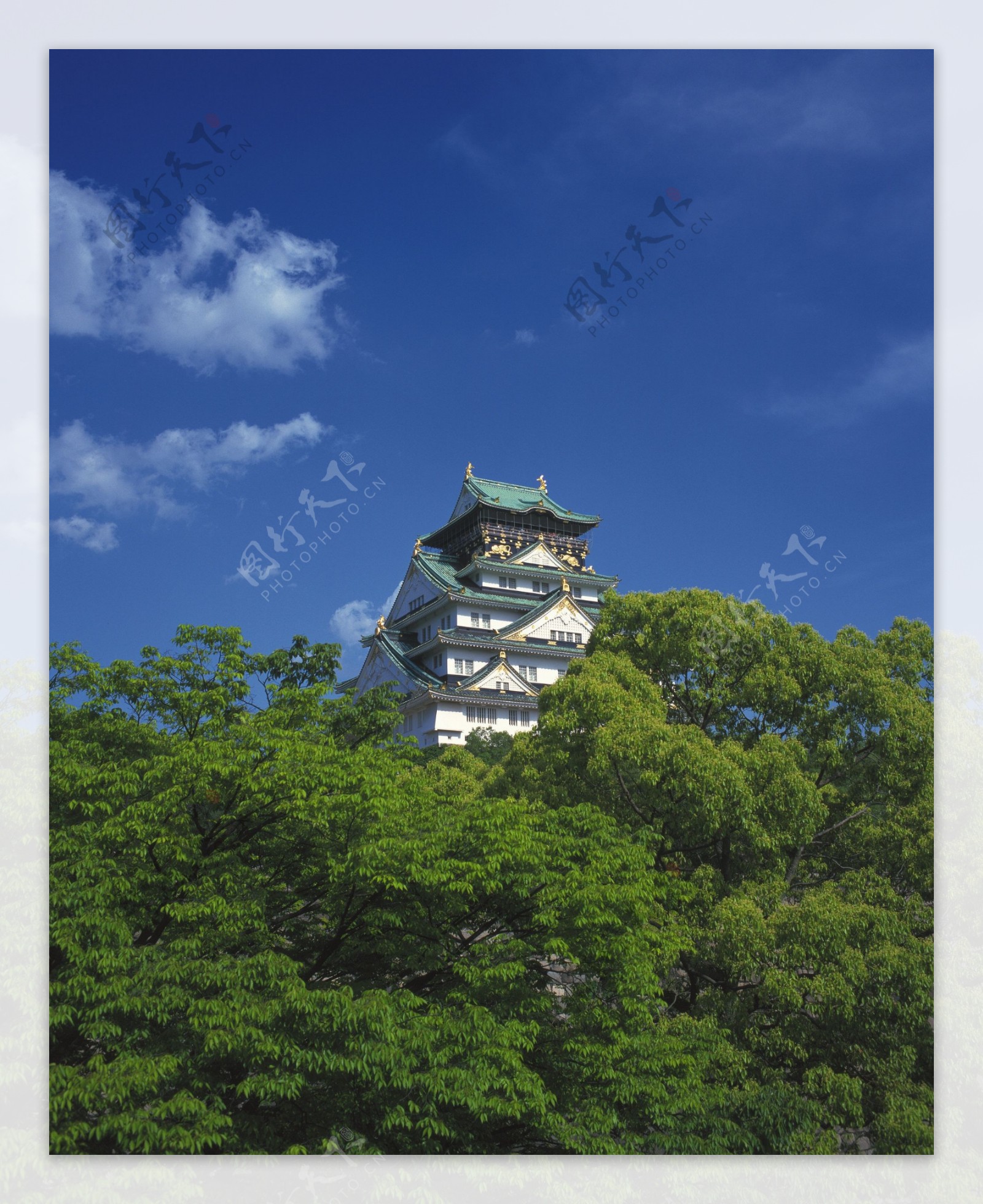 日本神社建筑图片