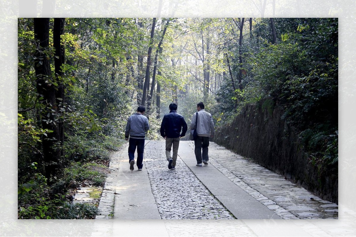 登山道图片