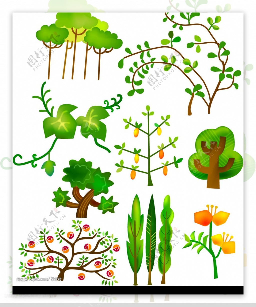 绿化树木图片