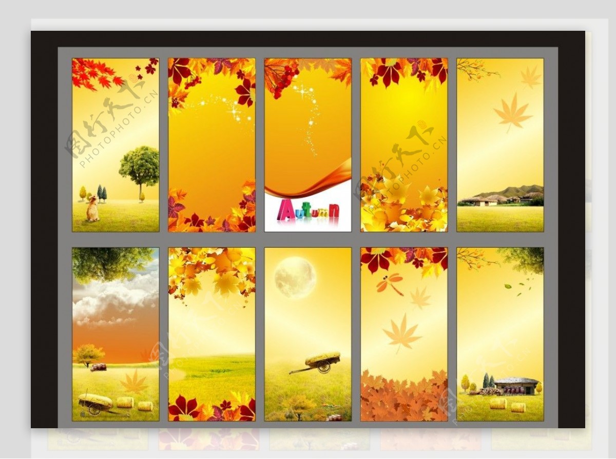 秋天展板模板背景图片
