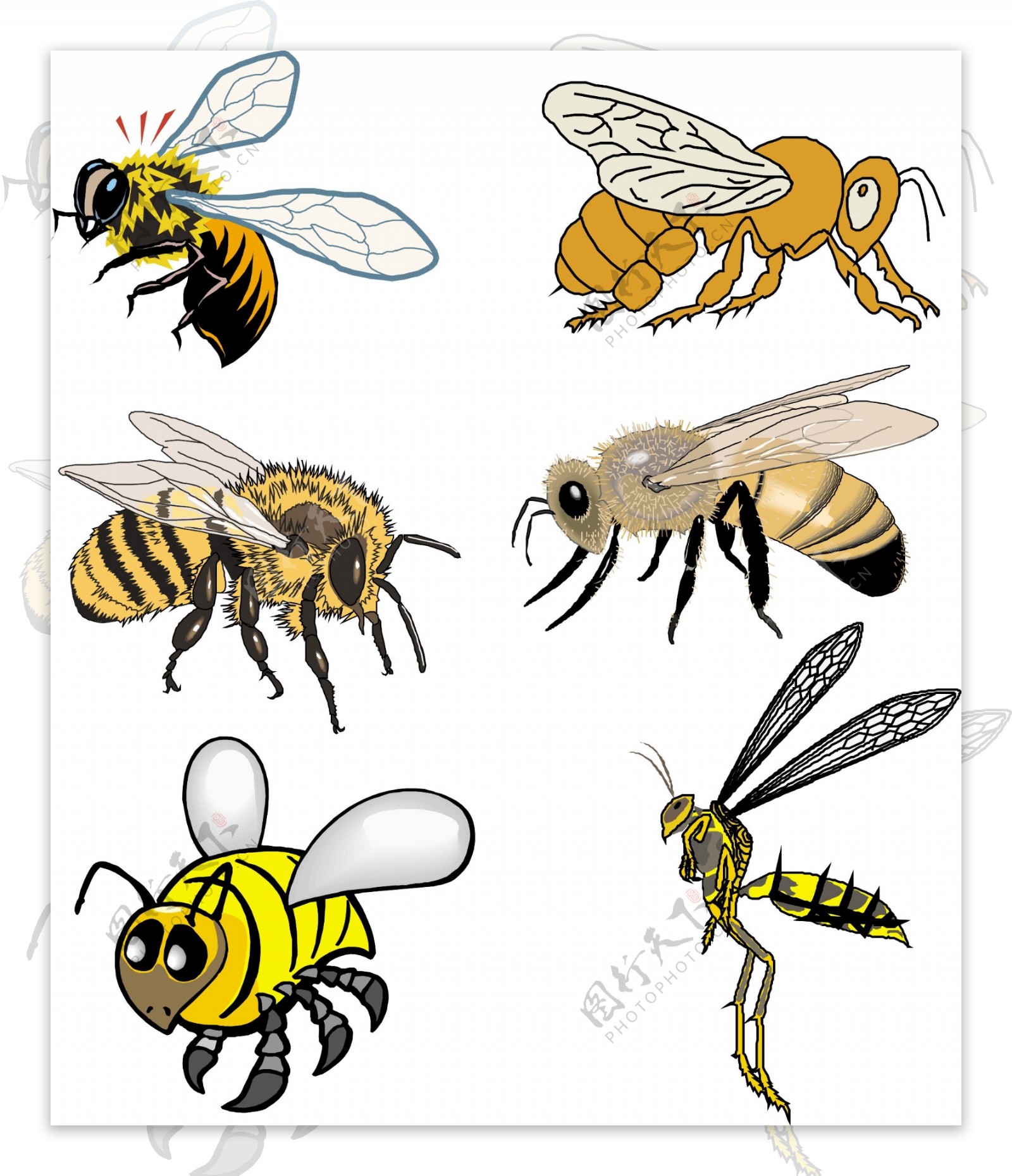 蜜蜂矢量图片