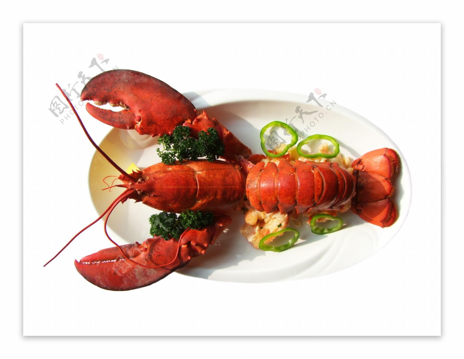 龙虾菜图片