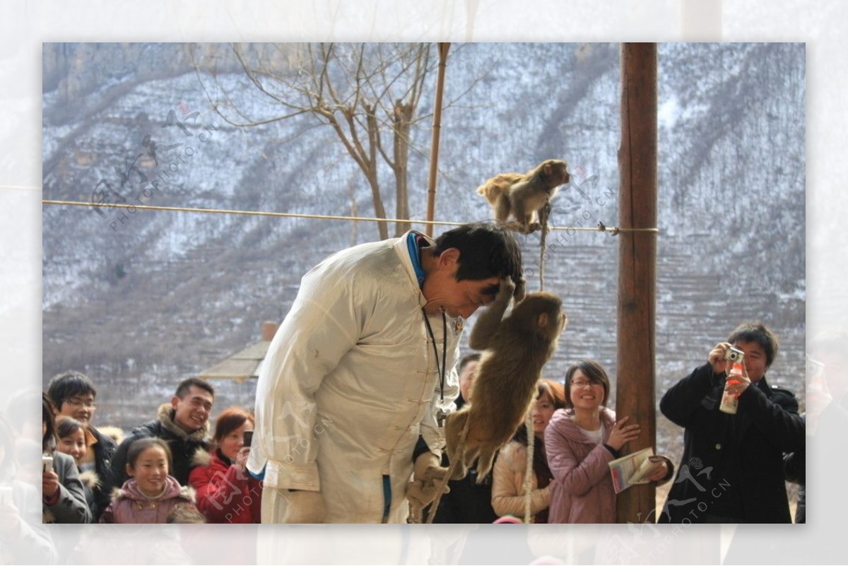 耍猴图片