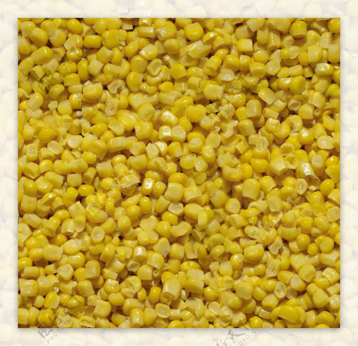 玉米食物粮食图片