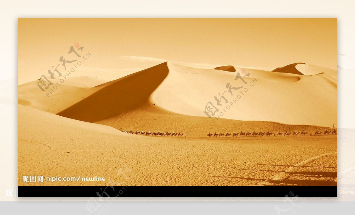 黃沙中的駝隊图片