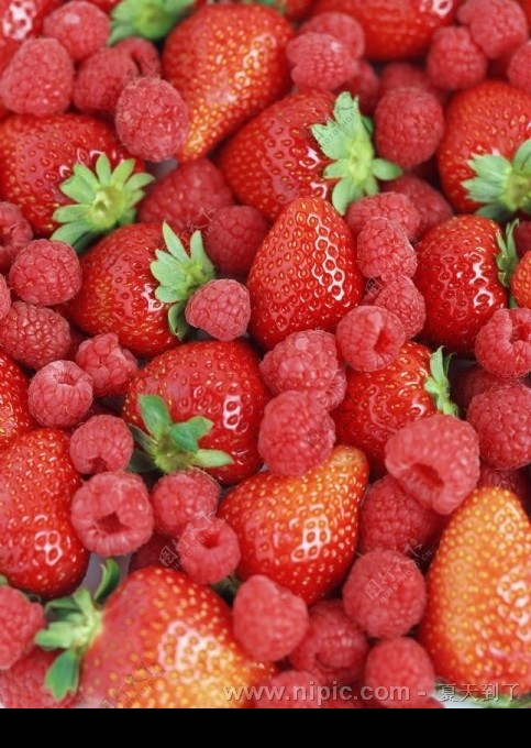 草莓野霉图片