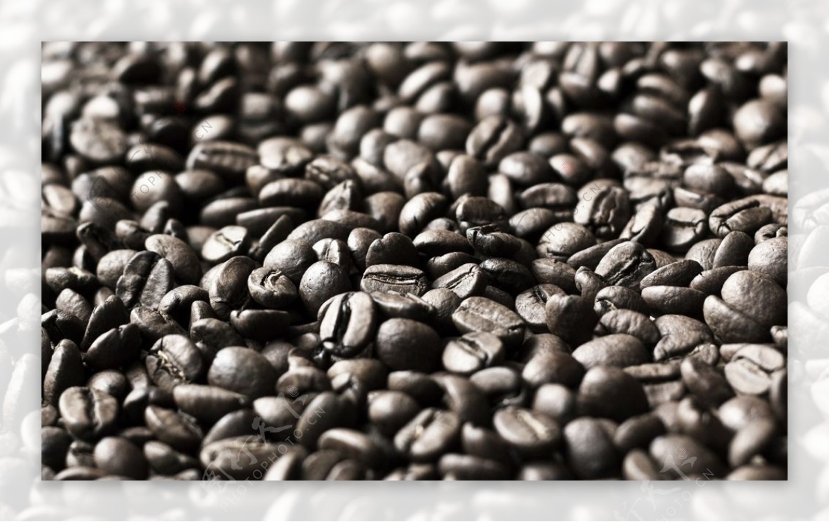 咖啡豆素材图片