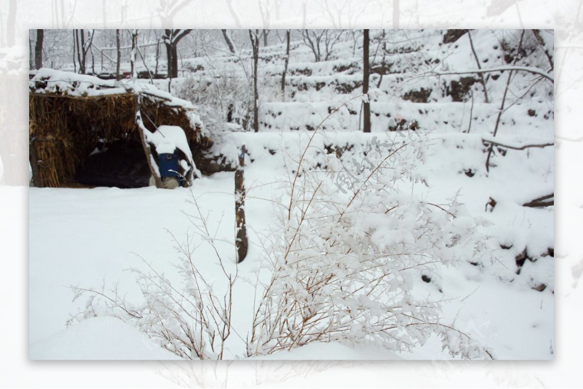 雪地图片