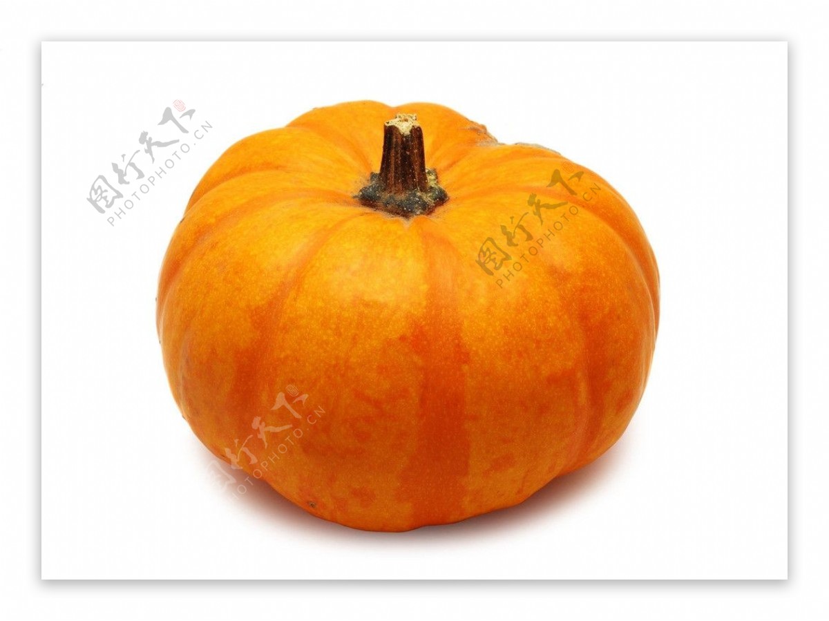 南瓜Pumpkin图片