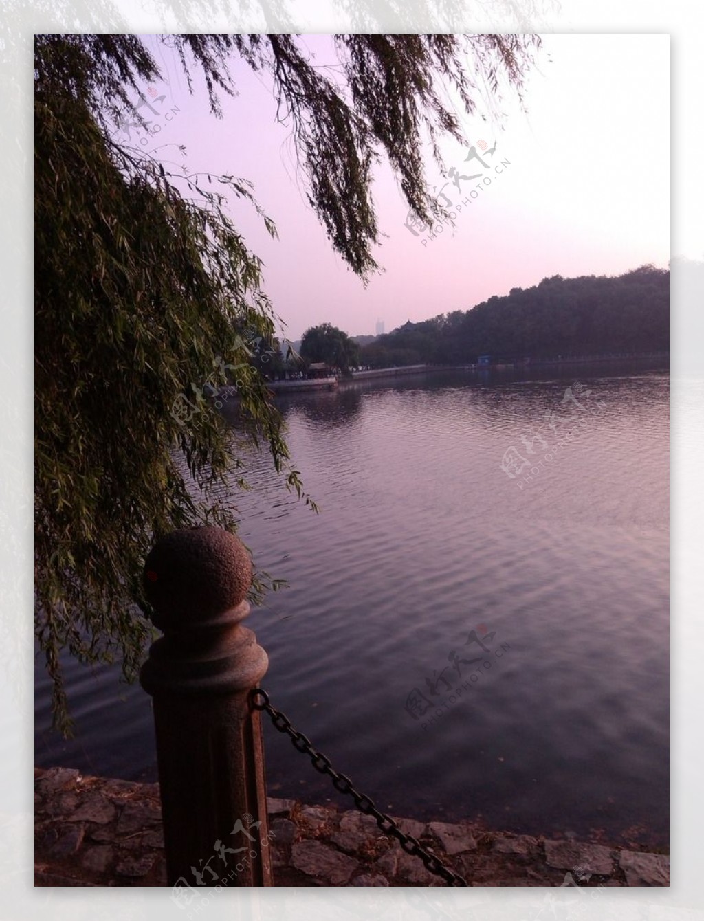 公园湖湖水甘棠湖图片
