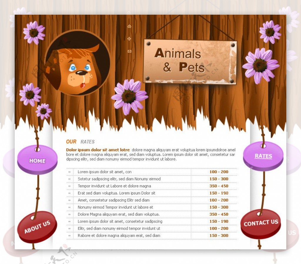 动物网站模版图片