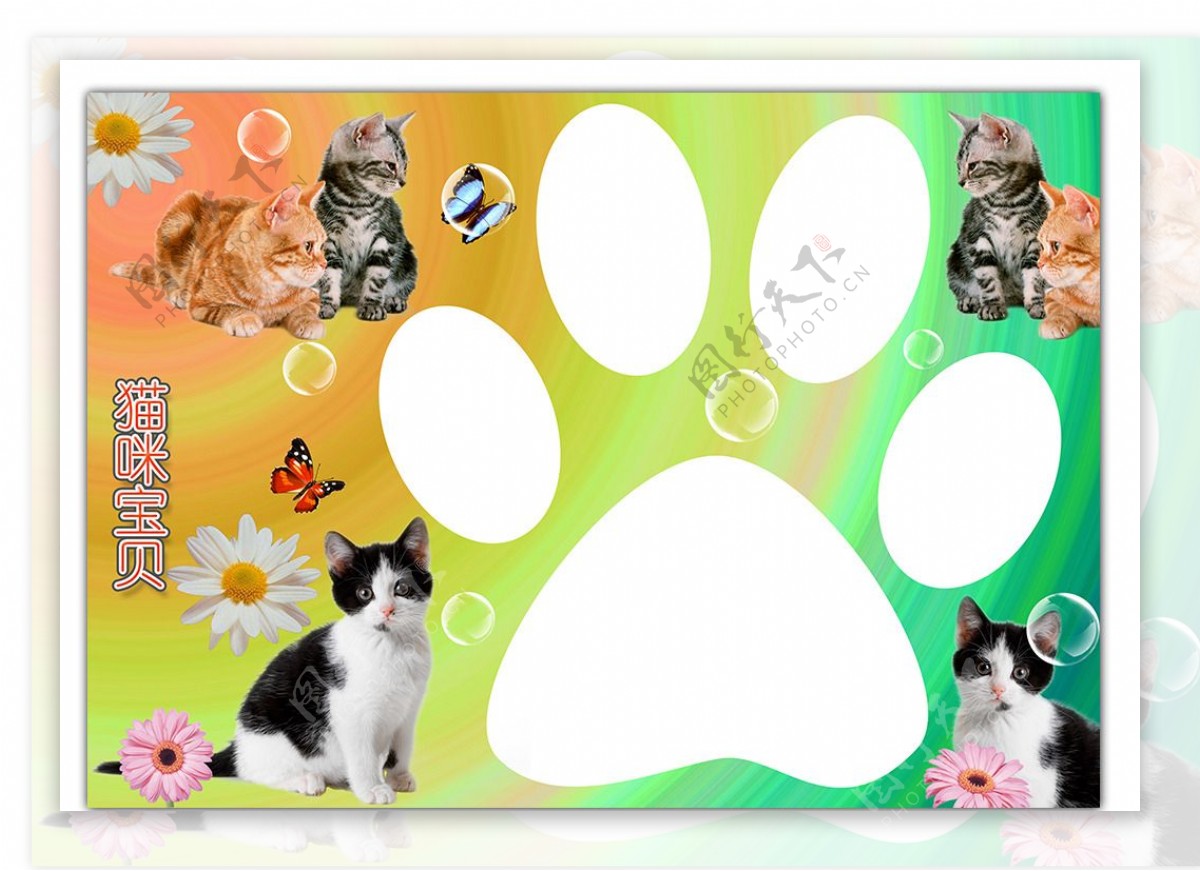 猫趣儿童相框模板图片