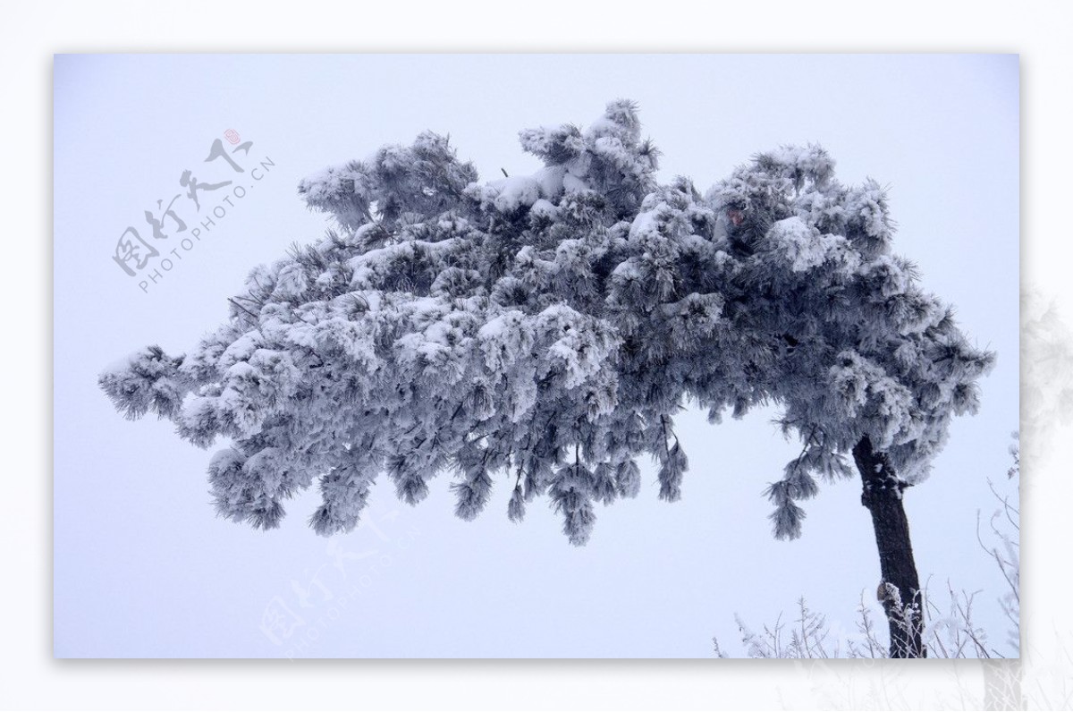 渑池韶山雪景图片