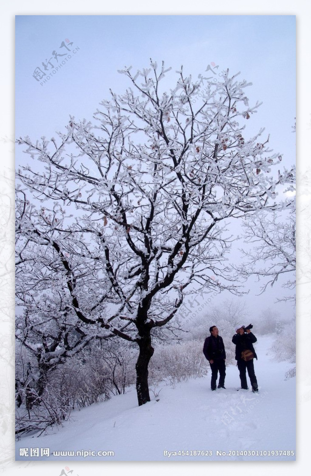 渑池韶山雪景图片