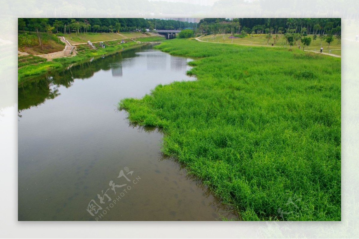 城市生态绿色河流图片