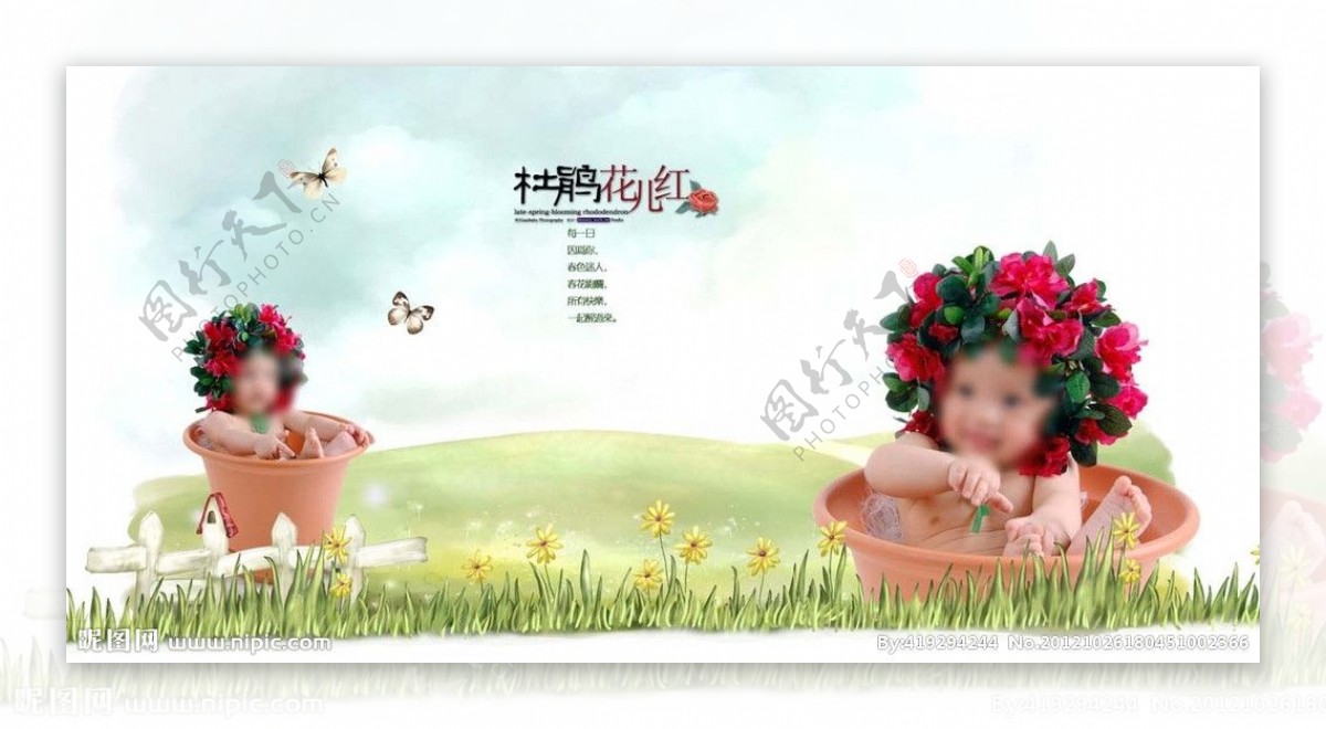 草地上的杜娟宝宝图片