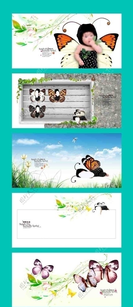 蝴蝶儿童画册图片