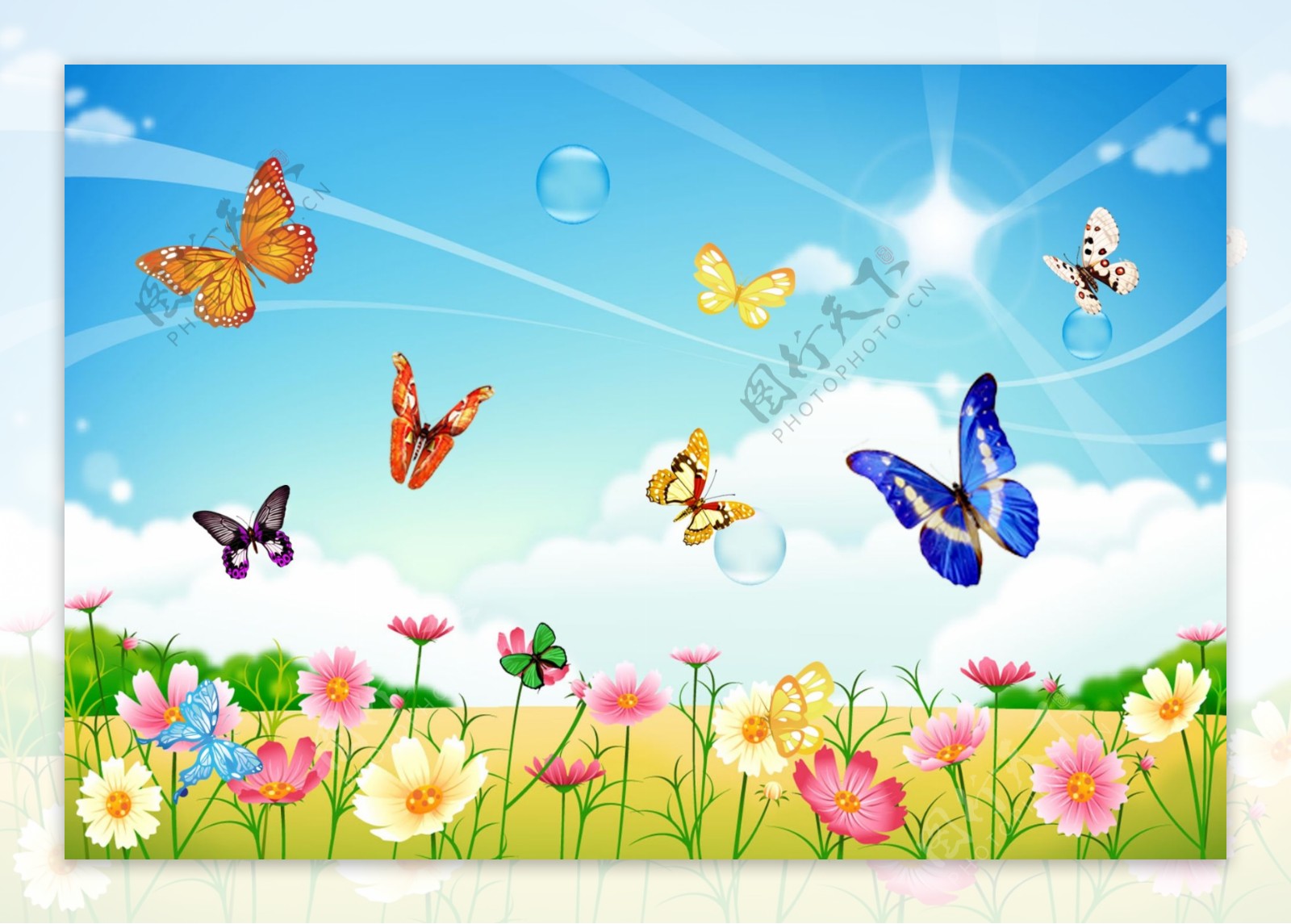 春天一群会飞的蝴蝶图片