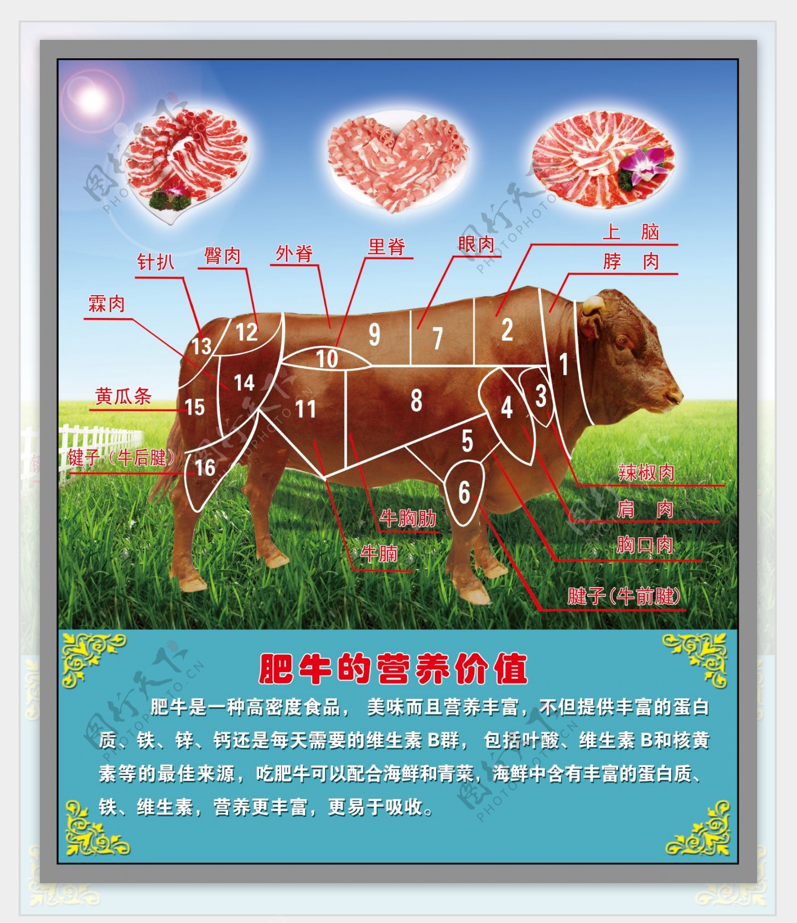 牛肉分布图图片