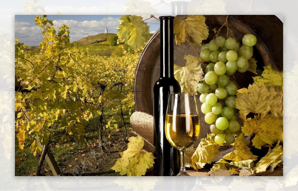 葡萄酒与庄园图片
